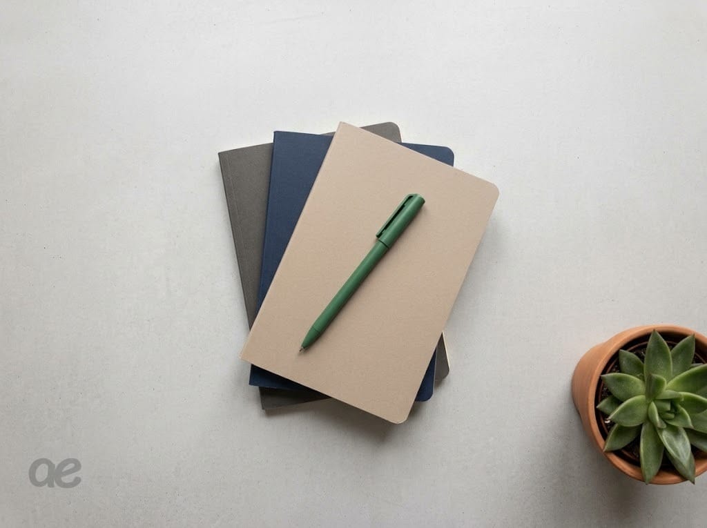 Trois carnets fermés, un stylo, une plante